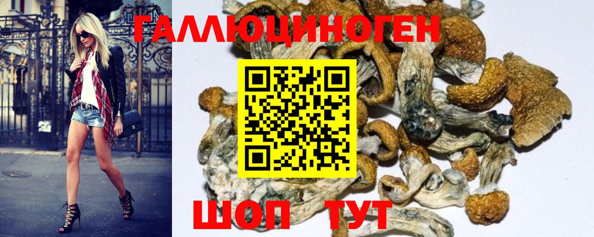 Галлюциногенные грибы Magic Shrooms  Галлюциногенные грибы Psilocybine cubensis  Ишим  Вход с VPN 