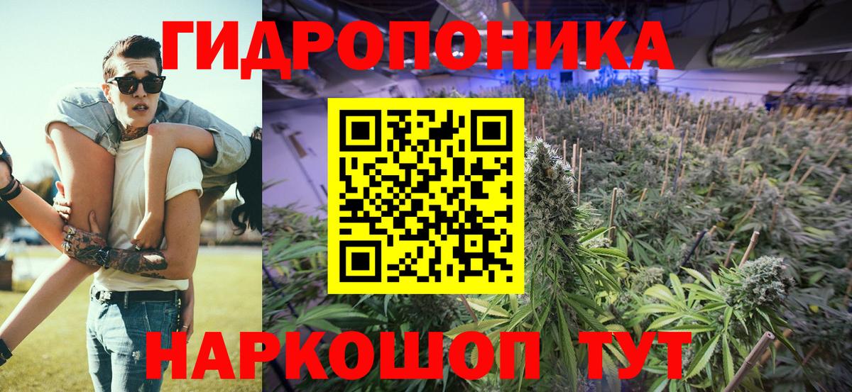 Бошки марихуана ГИДРОПОН  Шишки марихуана Bruce Banner  Ишим  Вход с VPN 